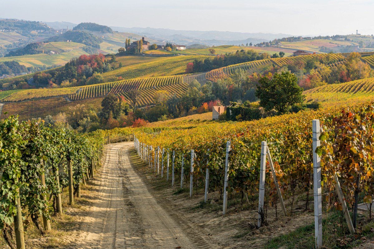 Slow Food & Wine Tour from Piedmont to the Italian Riviera