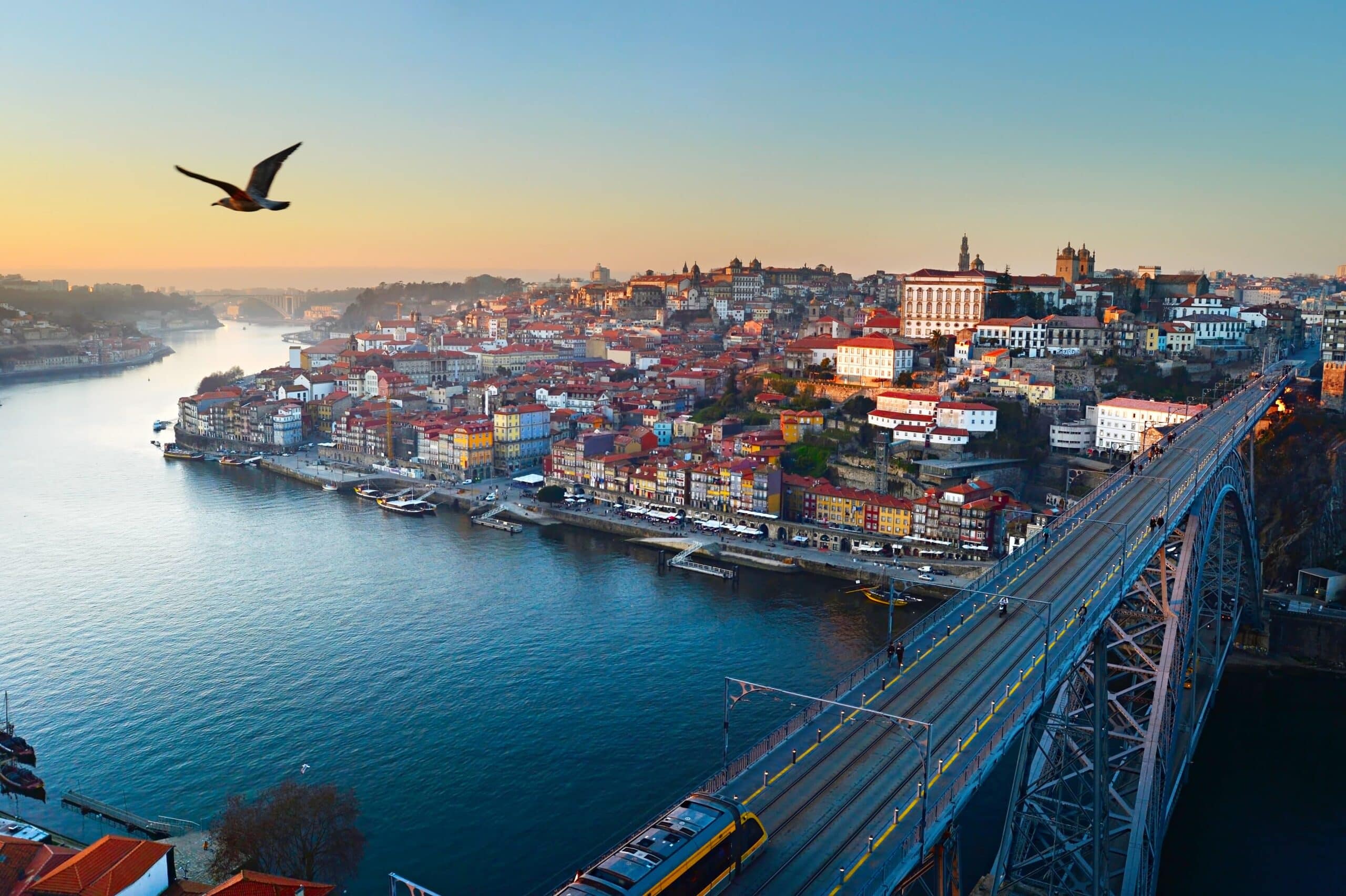 Luxury Wine Tour in Northern Portugal: Lisbon, Porto, Vinho Verde, Douro Valley