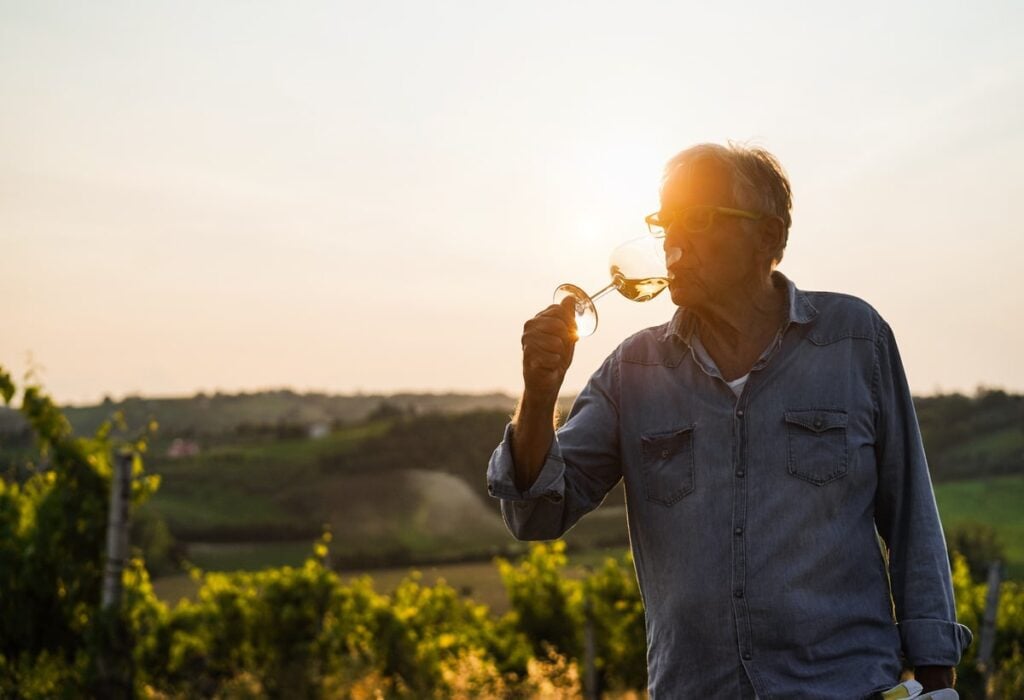 Man enjoying a glass of white wine in the vineyards during a luxury wine tasting tour
