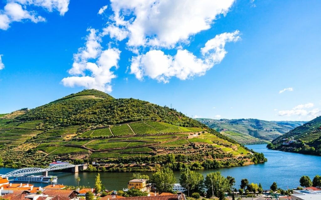 A beautiful Douro Valley vineyards in Portugal.