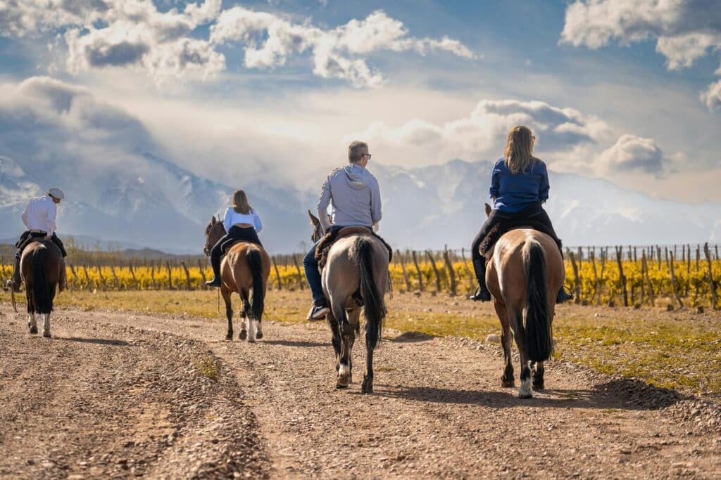 Horse riding in vineyards in Argentina, South America.