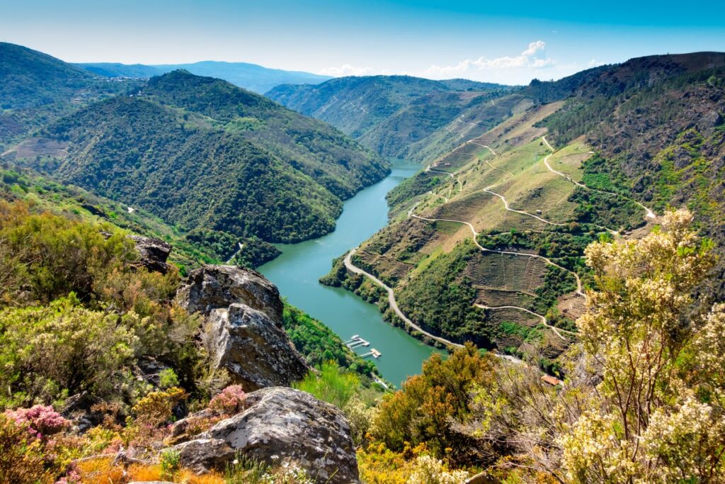 River Sil flowing through Galicia, Spain, with vineyards in the background.