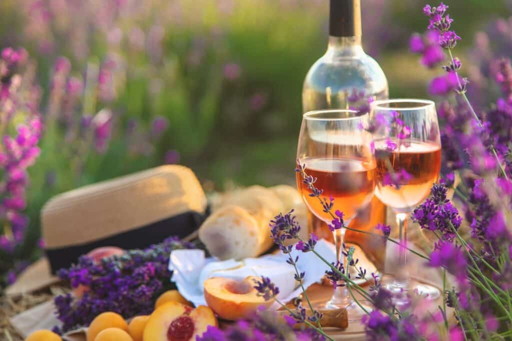 Summer wine picnic in Provence France lavender fields