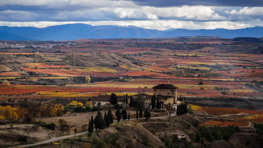La Rioja vineyards in Spain during fall, a wine tasting trip destination