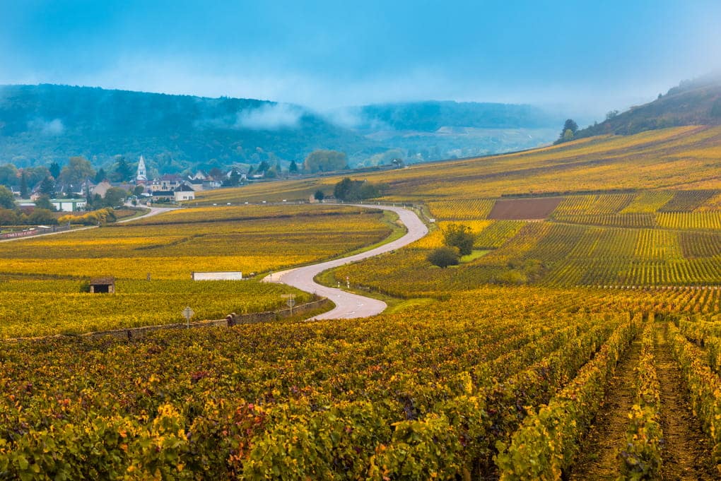 Autumn vineyards in Burgundy France (the best time to visit Burgundy for wine)