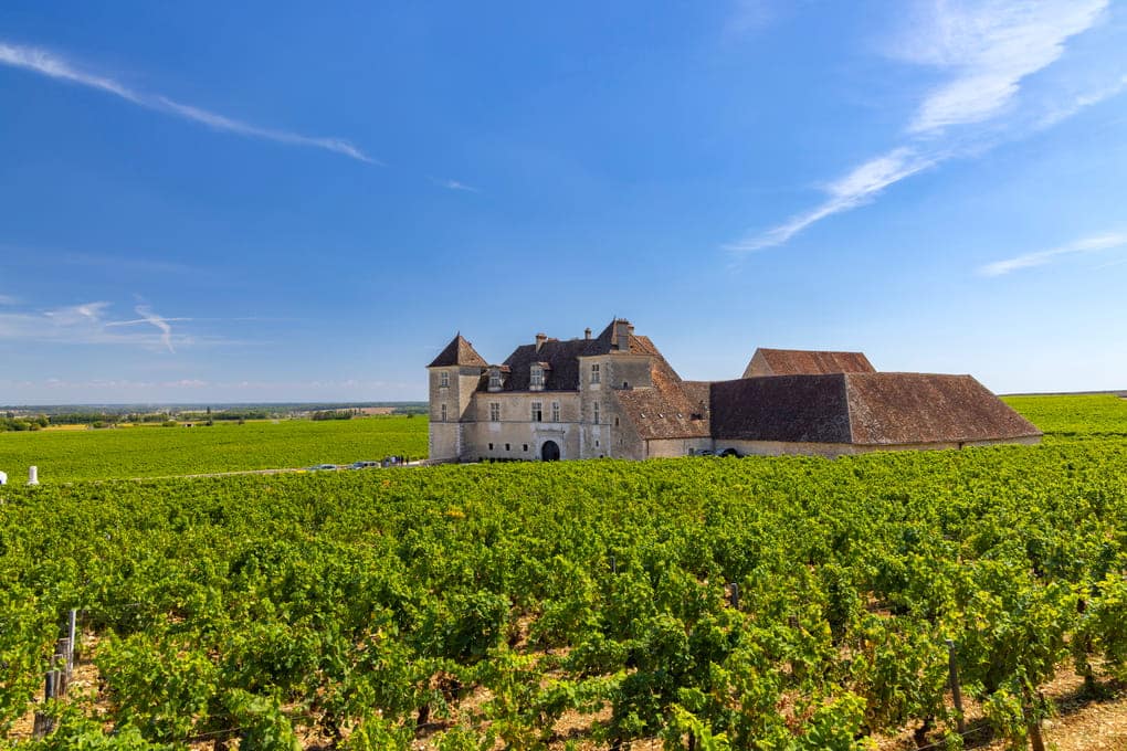 Clos de Vougeot in Burgundy France Cote de Nuits (A day in the Cote de Nuits)