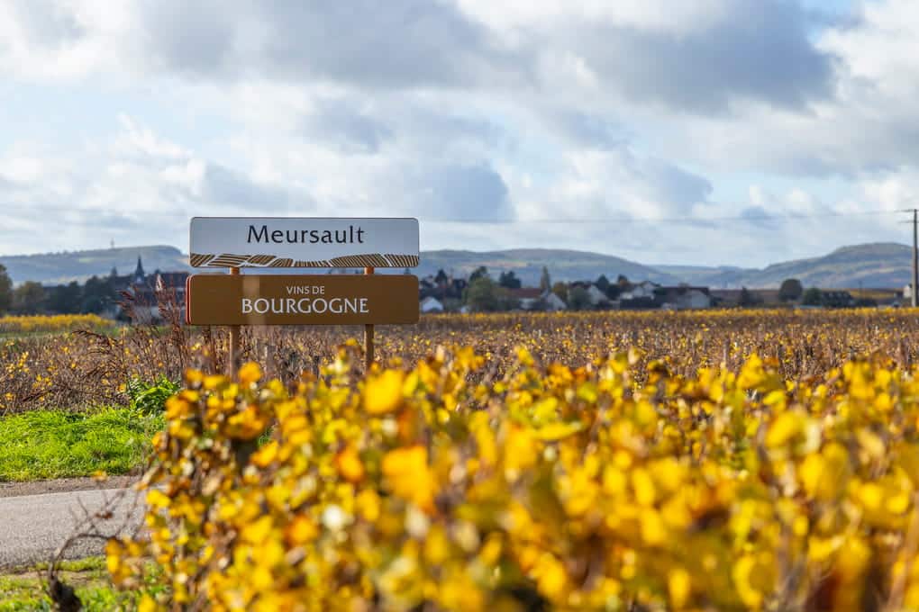 Meursault village vineyards Burgundy France Cote de Beaune.