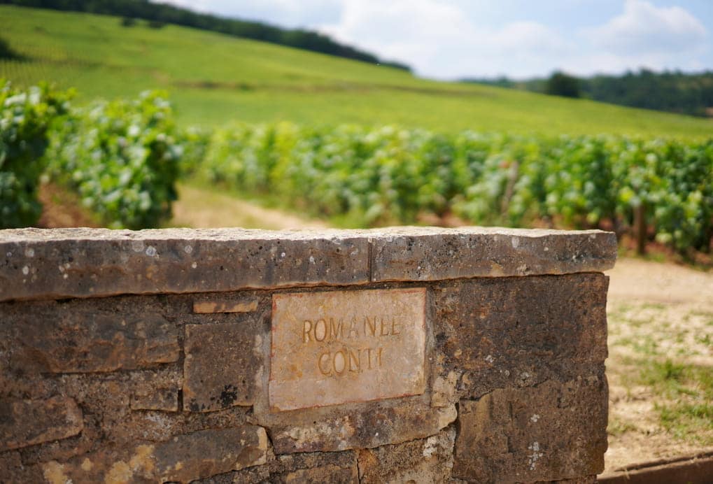 Romanee Conti grand cru vineyard Burgundy France.