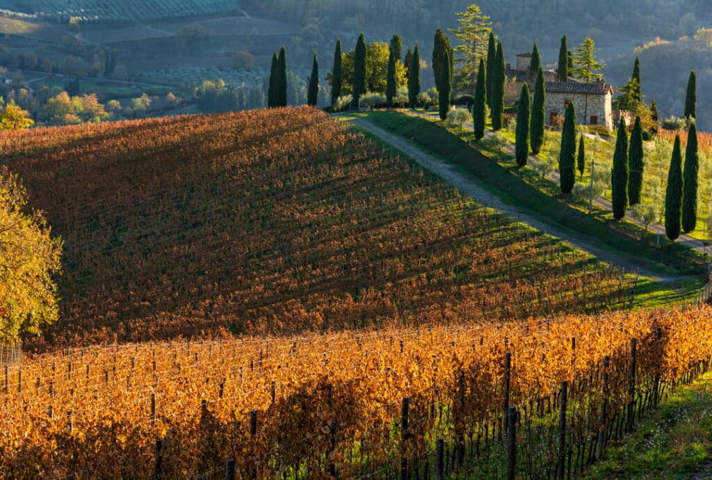 Farmhouse in Radda in Chianti Tuscany Italy in Autumn.