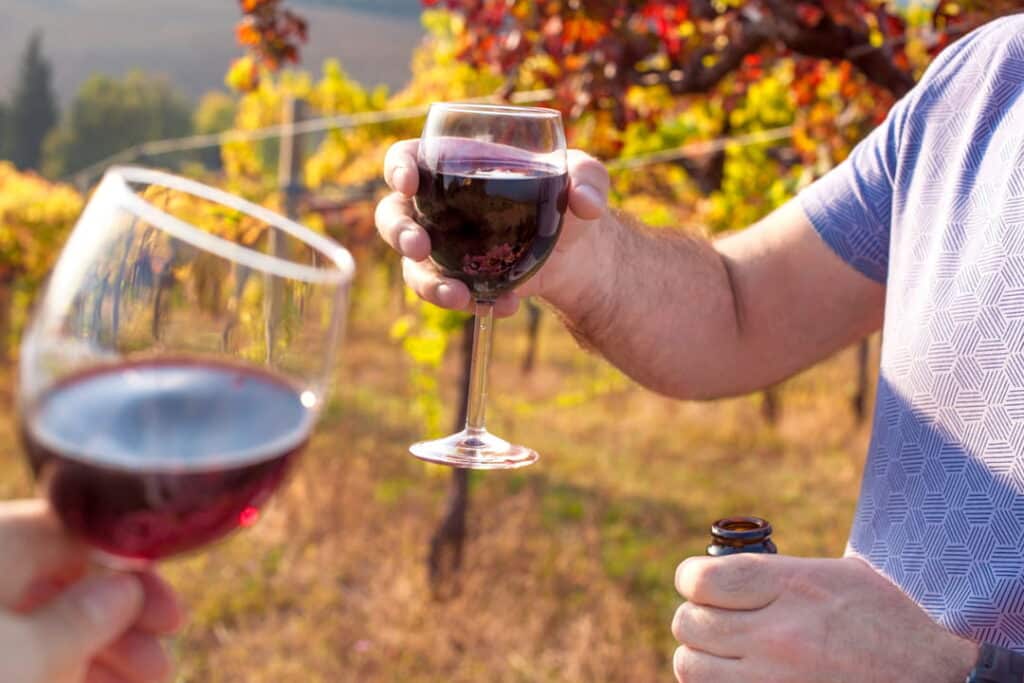 Two people toast glasses of Sangiovese red wine in an autumn vineyard, Tuscany, Italy