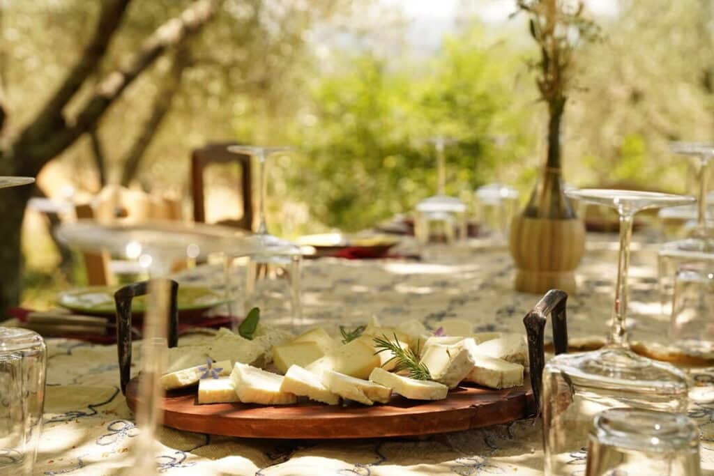 An alfresco lunch with pecorino and bread set among olive trees at a vineyard near Greve in Chianti, Tuscany, Italy
